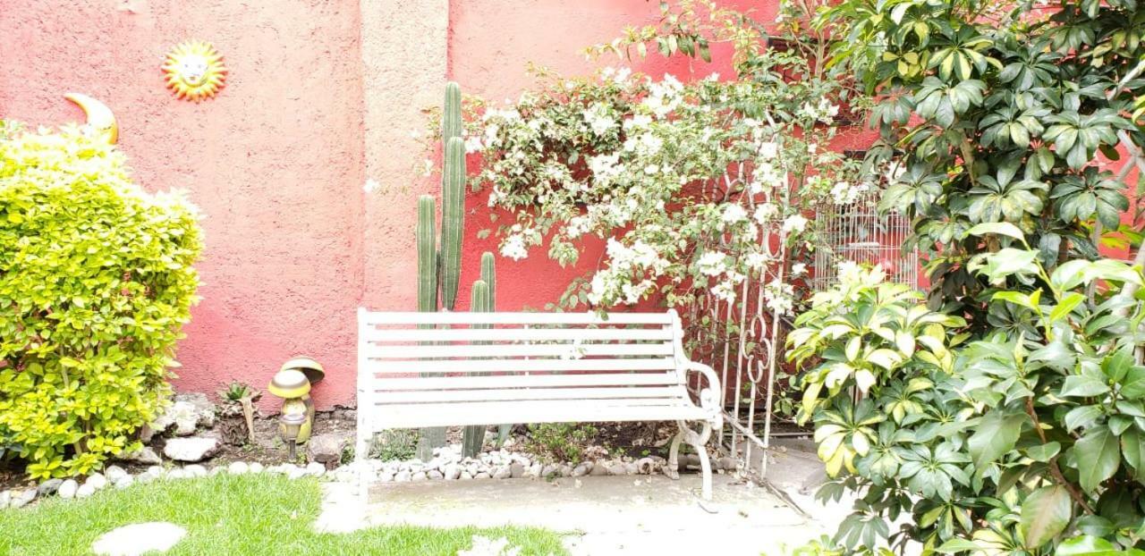 Anys Hostal Mexico City Exterior photo